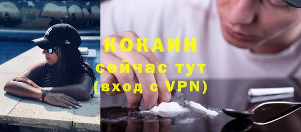 гашик Алексин
