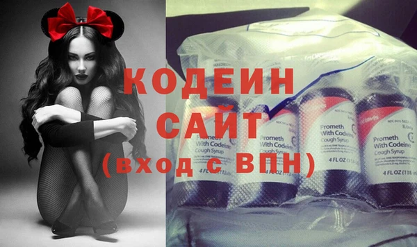 гашик Алексин