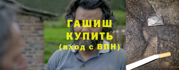 гашик Алексин