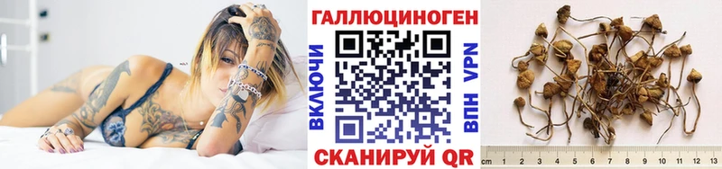 Галлюциногенные грибы прущие грибы  Тобольск 